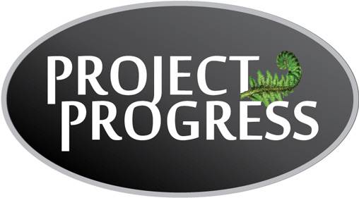 Project Progress